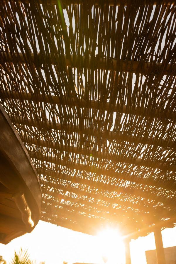 Pôrto de PedrasEco Loft Maymuna: Seu Loft Ecologico Pertinho Da Praia别墅 外观 照片
